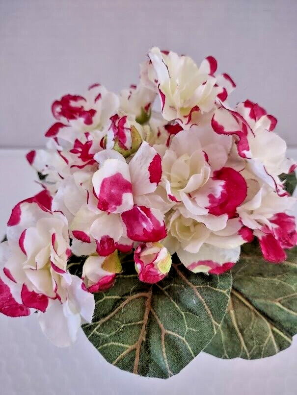 ARTIFICIAL 6" Miniature African Violet - BURGUNDY TIPS gallery