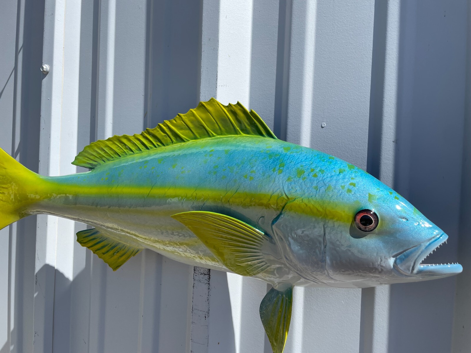 27" Yellowtail Snapper Half Mount Fish Replica - Quick Production gallery