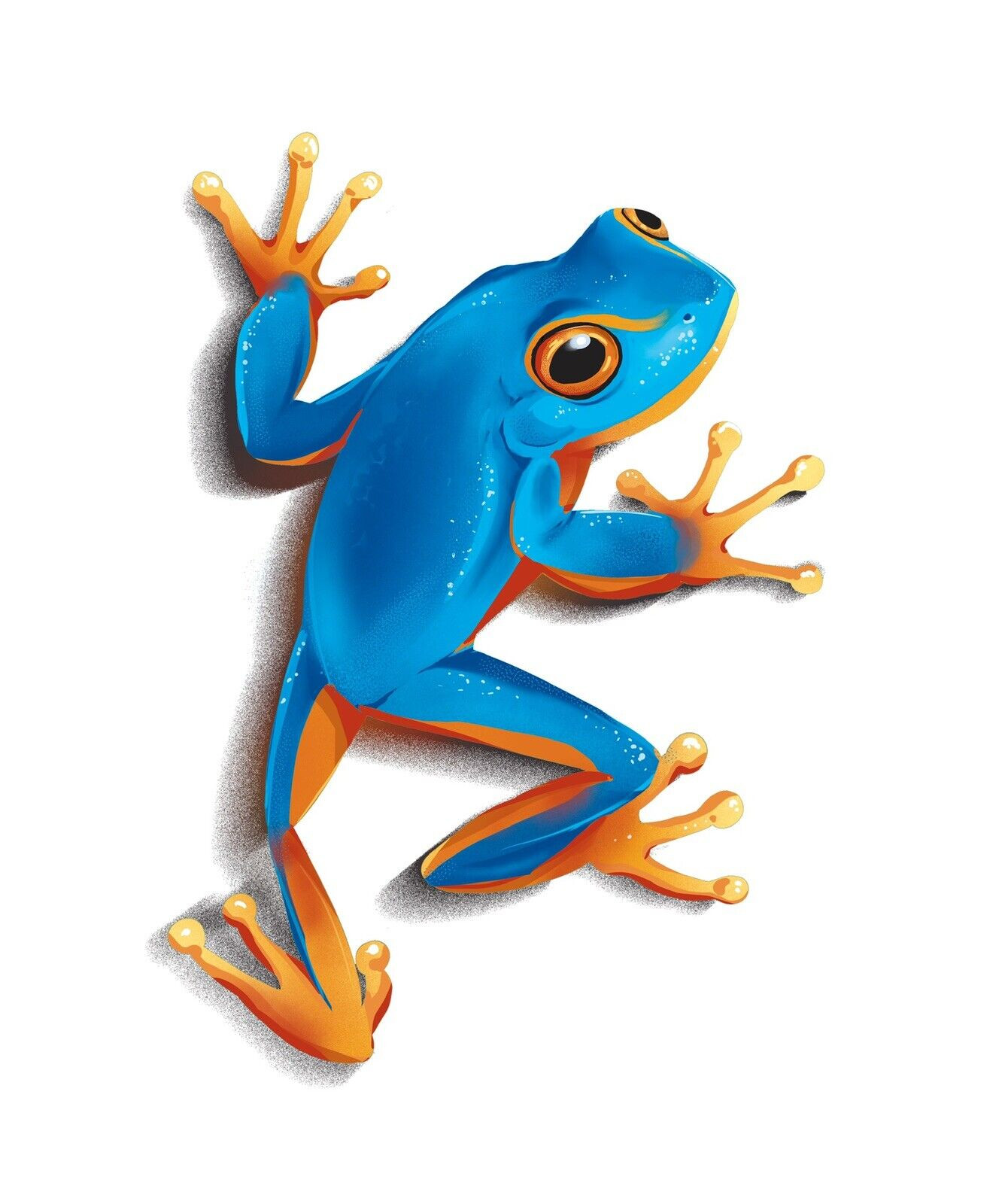 Blue Tree Frog Sticker Decal gallery