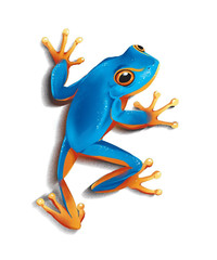 Blue Tree Frog Sticker Decal