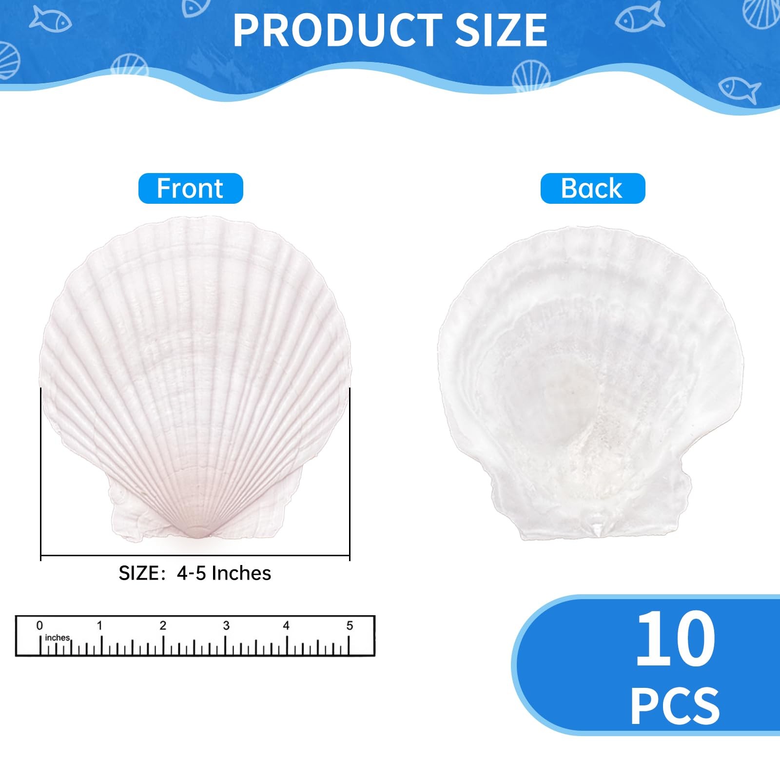 ReePlan 10PCS Large Scallop Shells for Crafts, 4-5 Inch (4-5in), White gallery