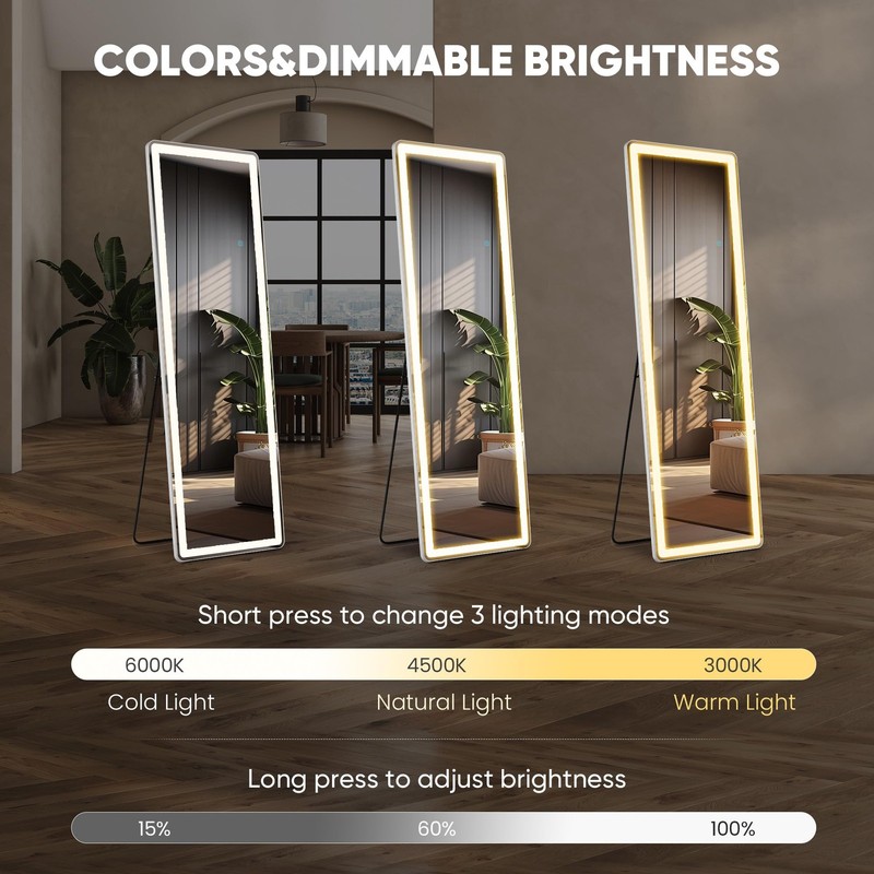 LED Rectangular Full Length Mirror with Light, 60" L x 16" W Full Body Standi... gallery