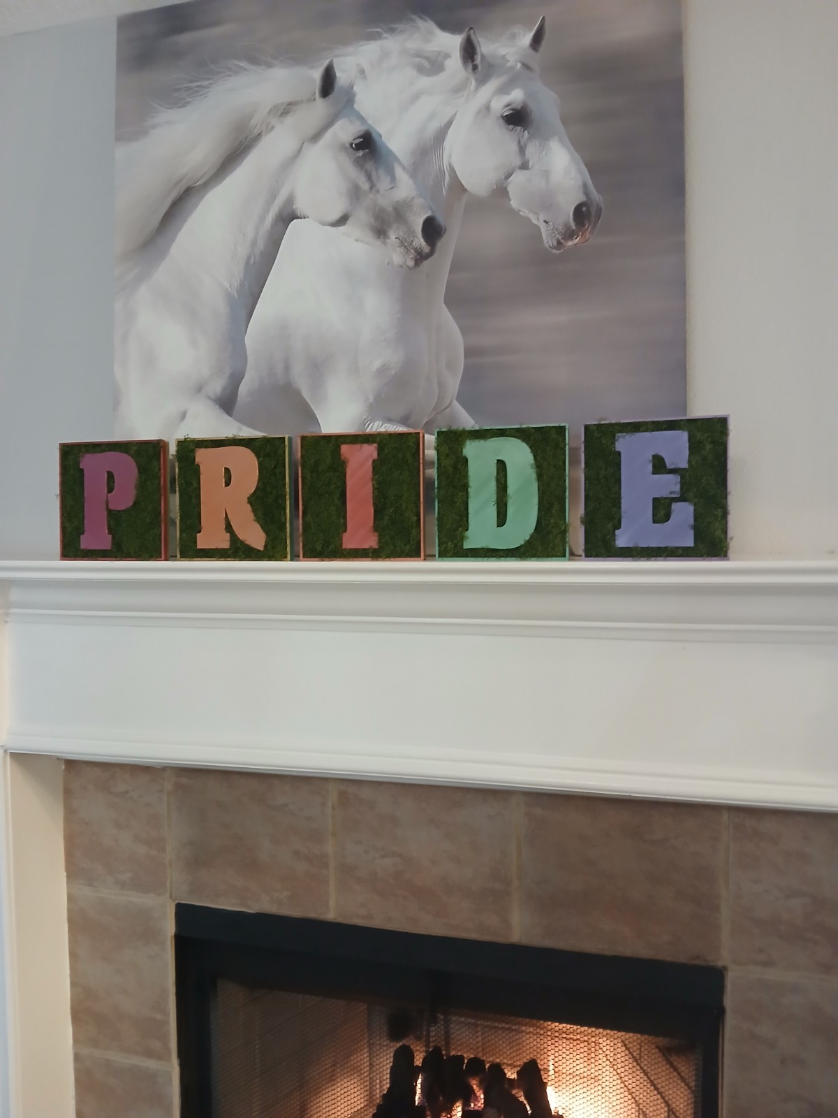 PRIDE lgbtq Moss Letters Decor gallery