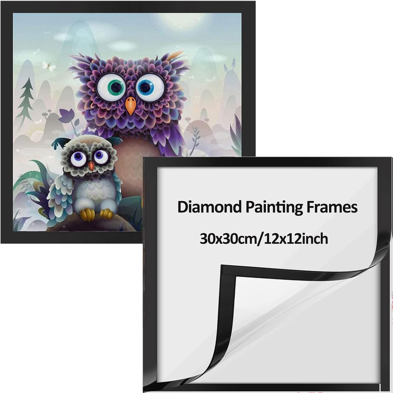 2 Pack Diamond Art Frames, Frames for Diamond Art Pictures 30X30Cm Canvas Size ( gallery