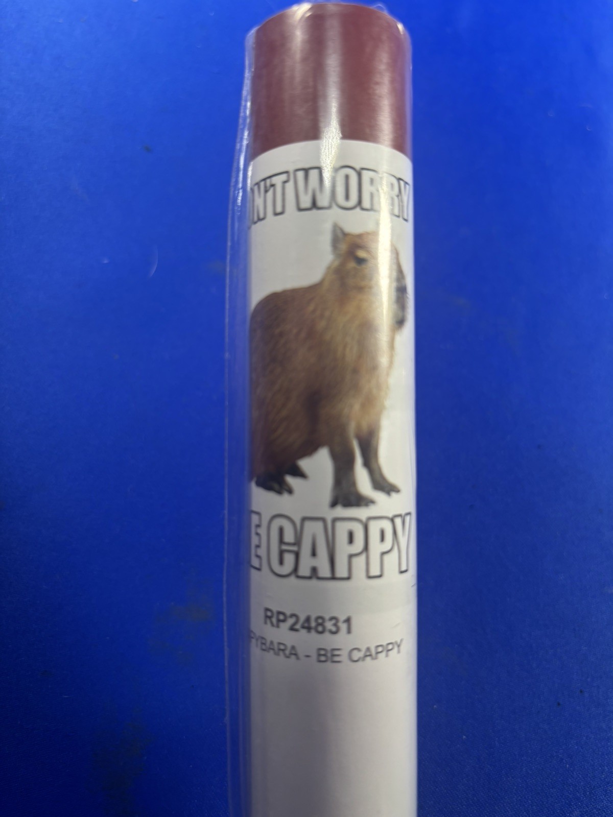 NEW ~ Don’t Worry Be Champy ~ Capybara Premium Poster 22 x 34 USA - RP24831 gallery