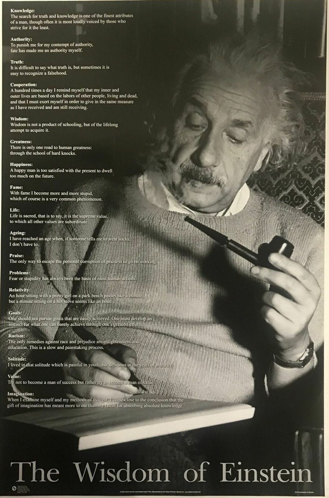 Albert Einstein The Wisdom of Einstein Inspirational Poster 23 X 35