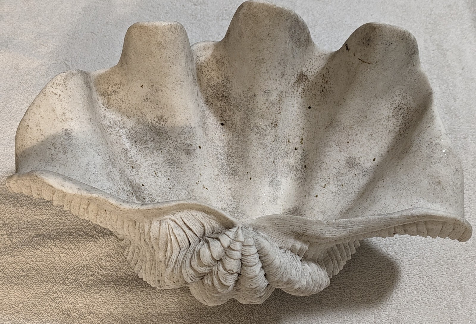 Plaster Clam Shell Centerpiece Display Tray gallery