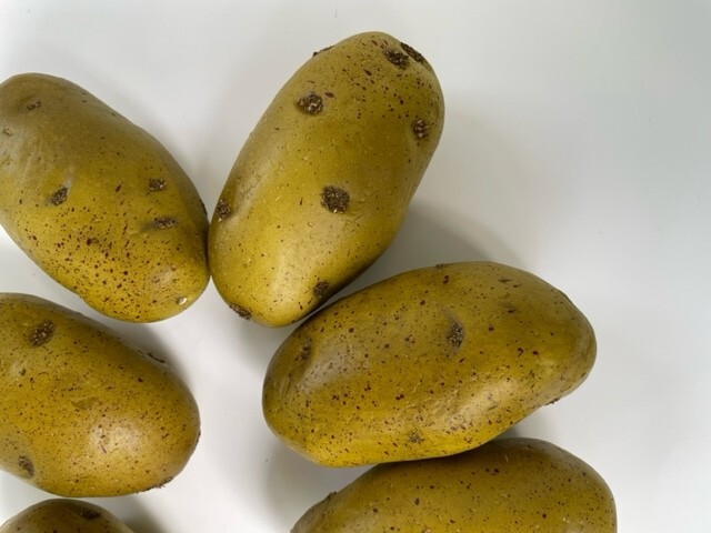 Artificial Baking Potato Decorative Fake Vegetable Spud Bag of 6 Idaho gallery