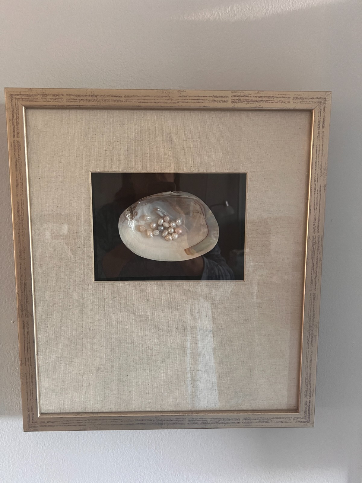 Abalone & Pearl Shell Shadow Box Wall Décor (2 Piece Set) 16" X 18" Gold Frame gallery