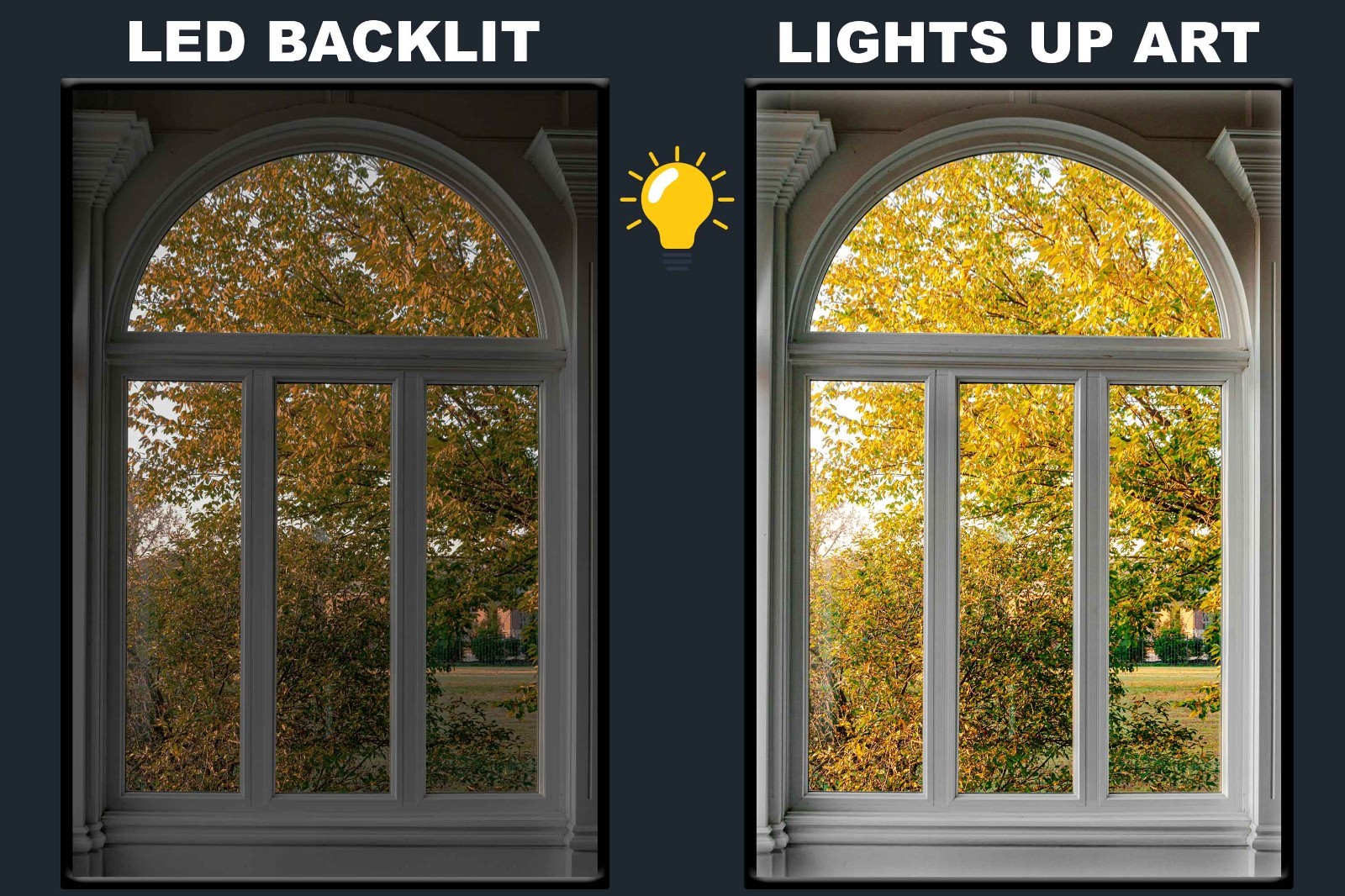LED Backlit Window View Wall Art Lighted Frame - wood framed view of tree gallery