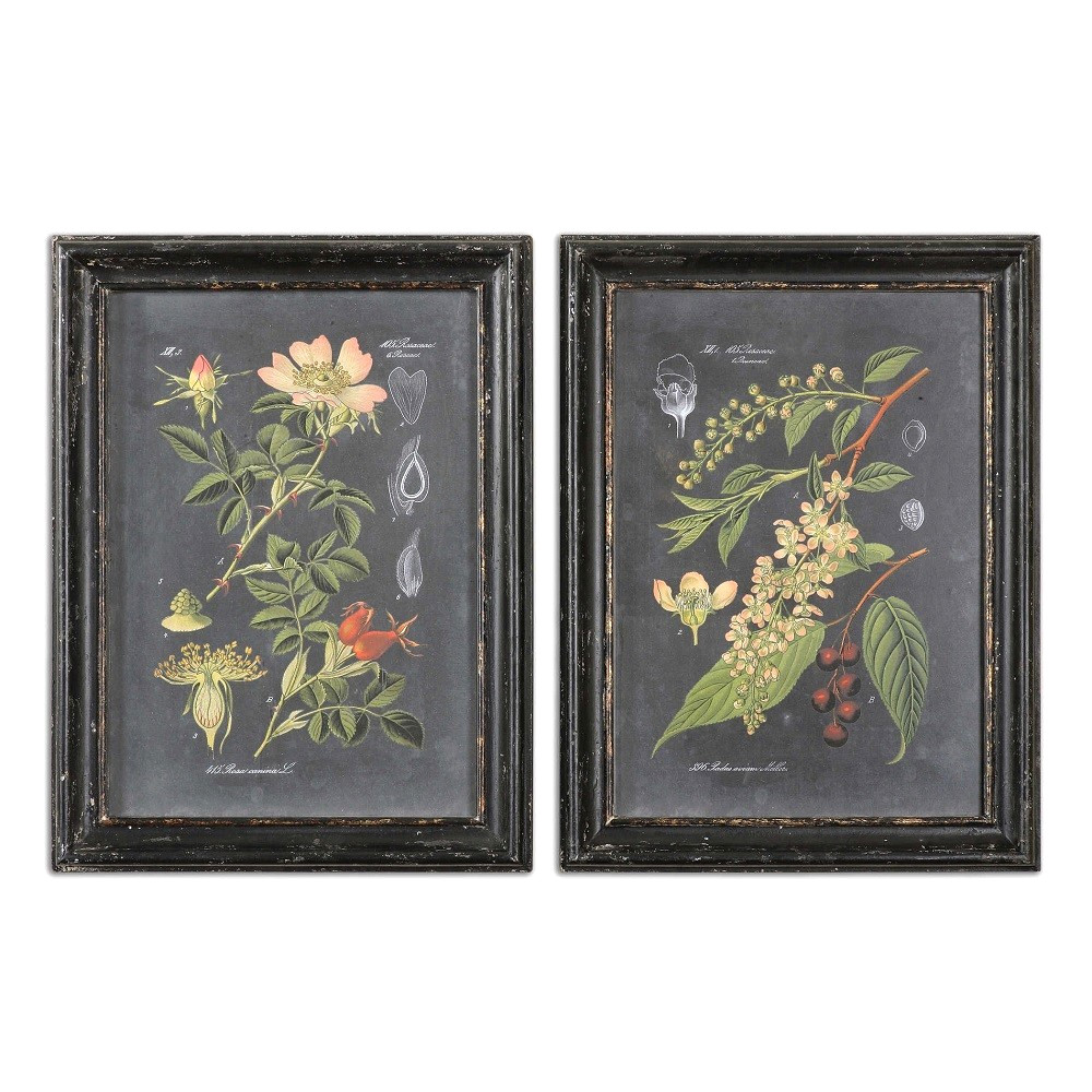 Uttermost 56053 Midnight Botanicals Wall Art Framed Prints Flowers 32 In x 24 In