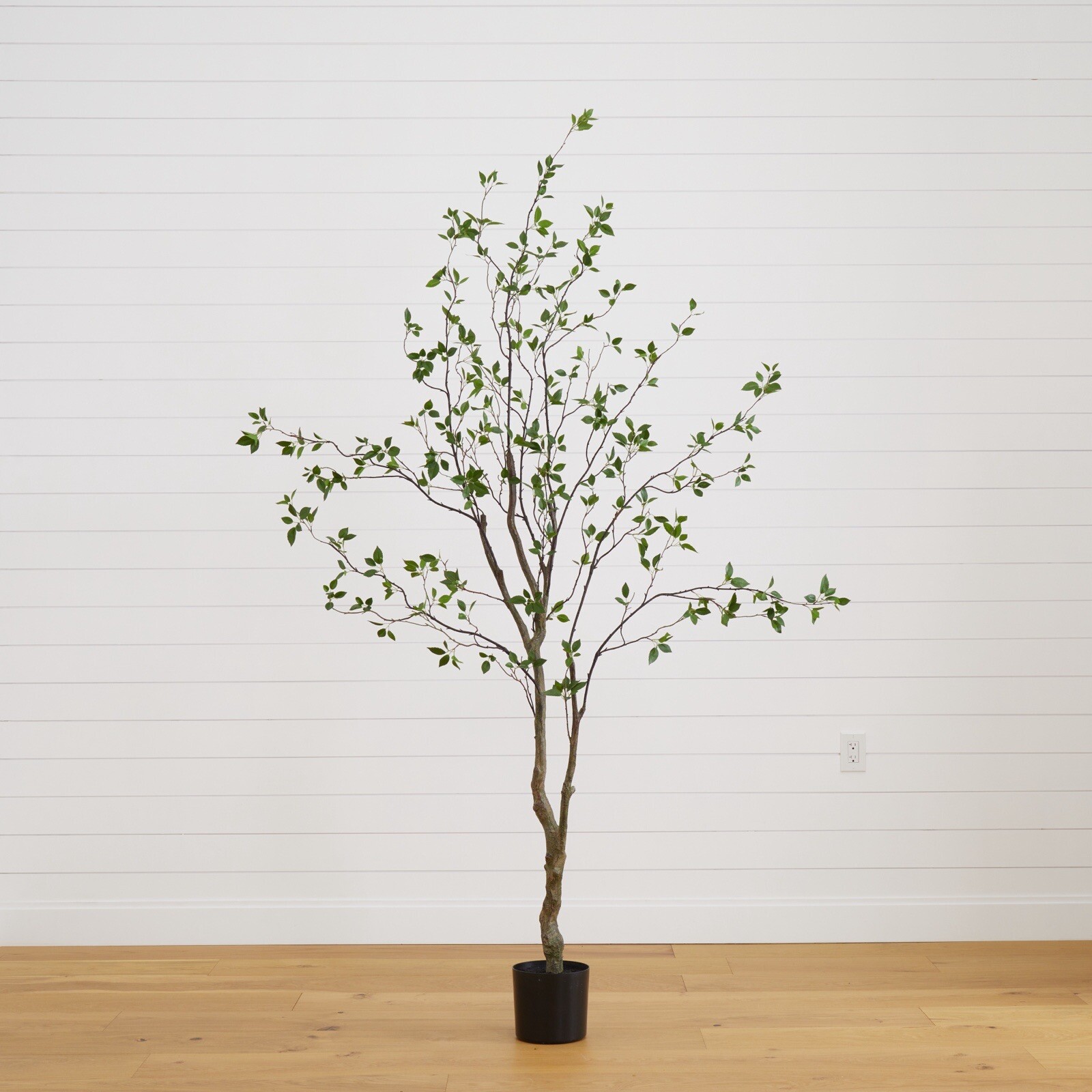 8’ Artificial Citrus Minimalist Tree Home Decor. Retail $259 gallery