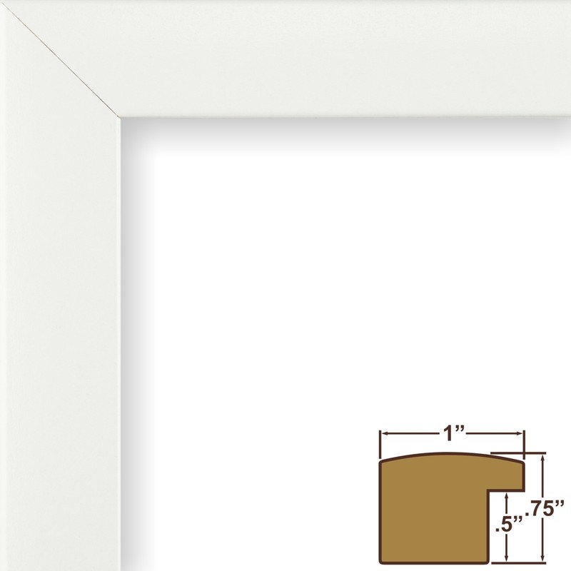 Craig Frames White Picture Frames & Poster Frames, 1" Wide Contemporary Style gallery