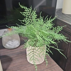 Threshold Artificial Greenery Tabletop Arrangement Centerpiece in Beige Pot