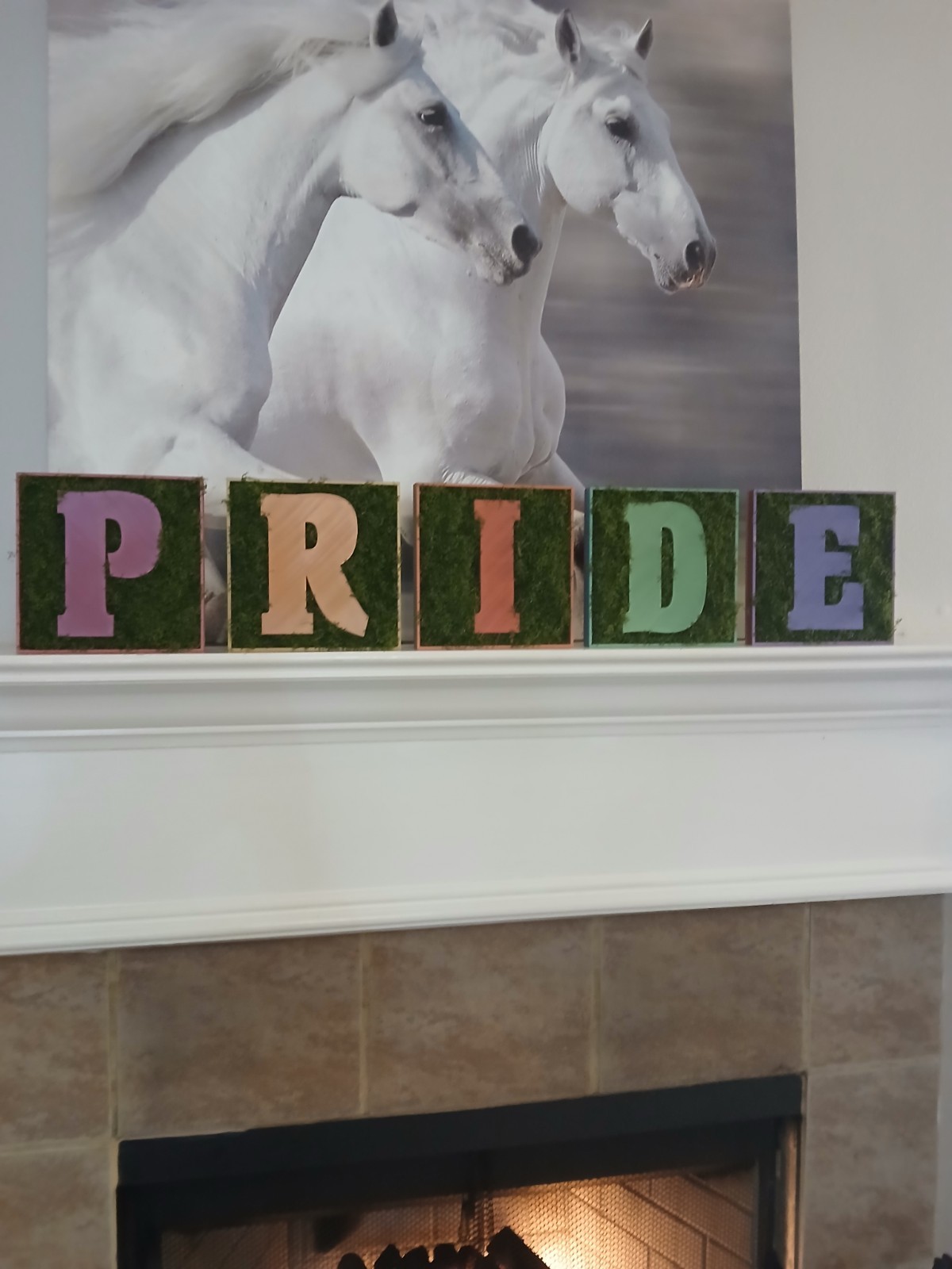 PRIDE lgbtq Moss Letters Decor gallery