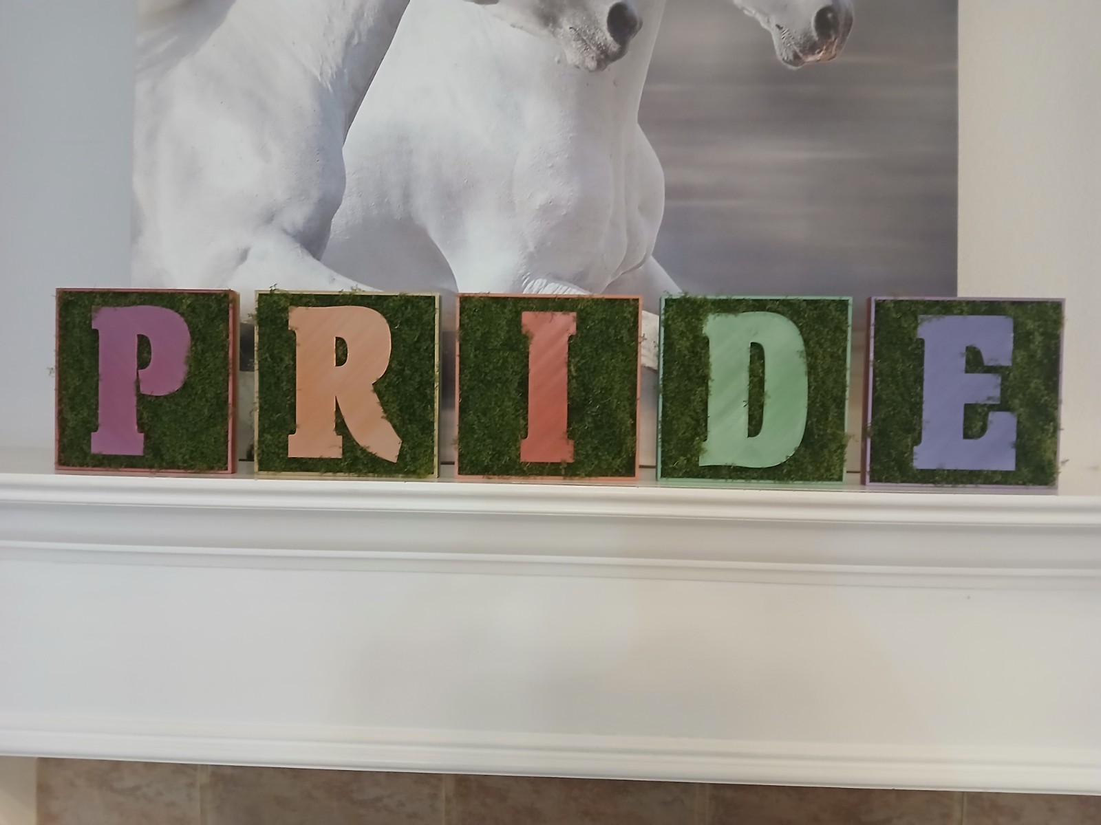 PRIDE lgbtq Moss Letters Decor gallery