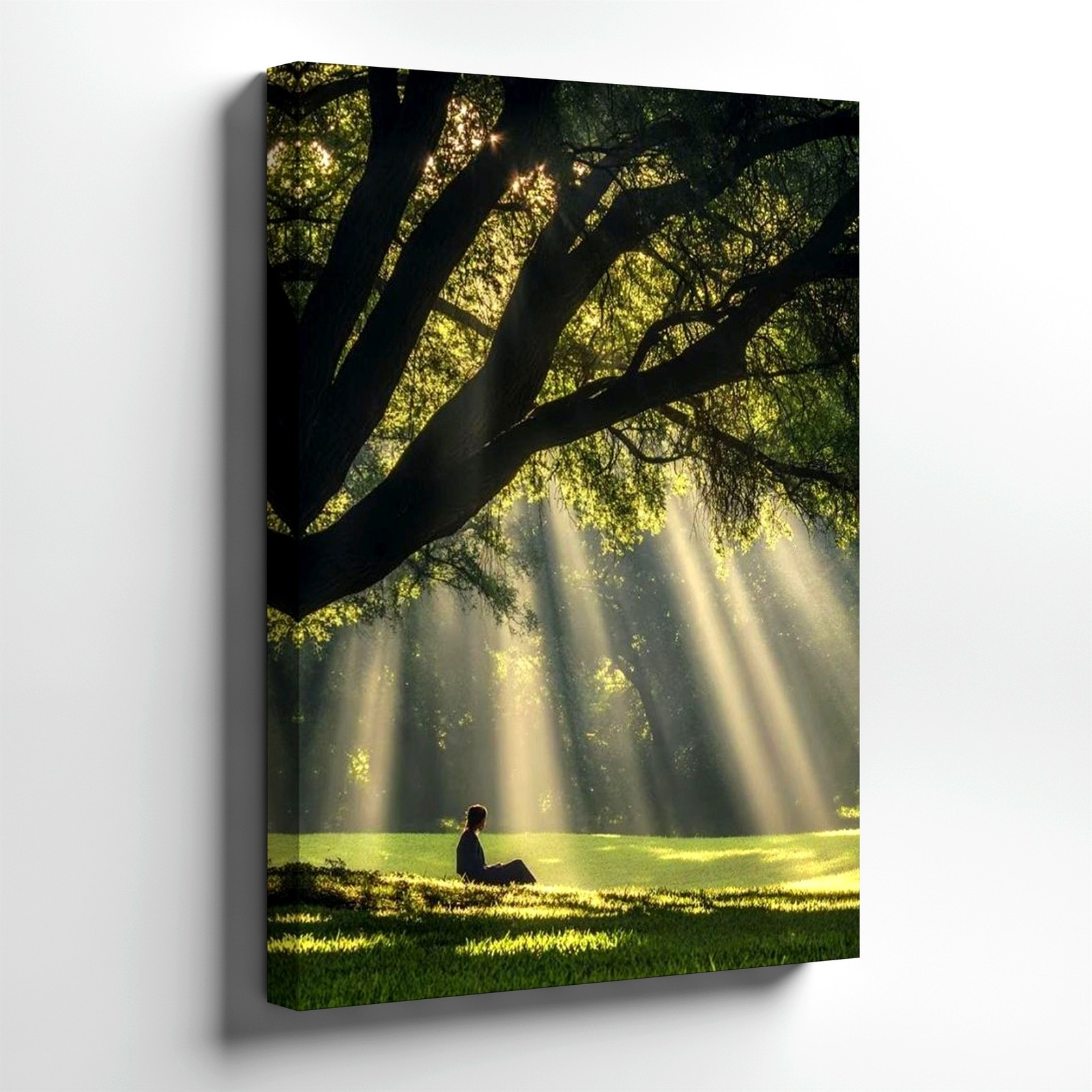 Wall Art Sun Rays Through Tree Forest Landscape Meditating Woman Nature Print gallery