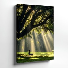 Wall Art Sun Rays Through Tree Forest Landscape Meditating Woman Nature Print