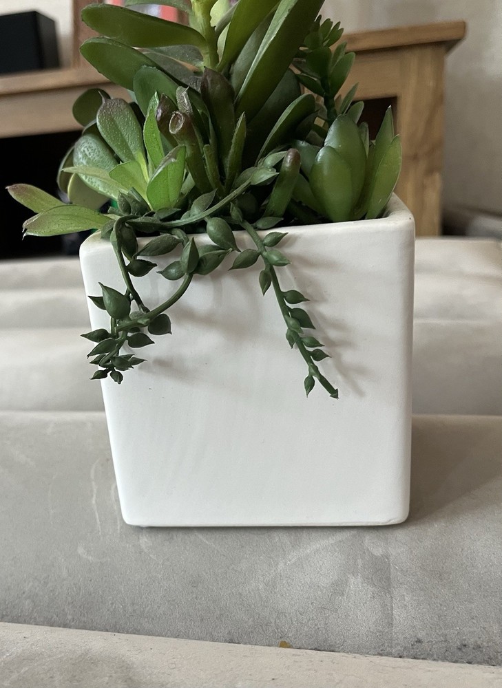 Target Artificial Succulent Arrangement, Green/White in White Ceramic Planter