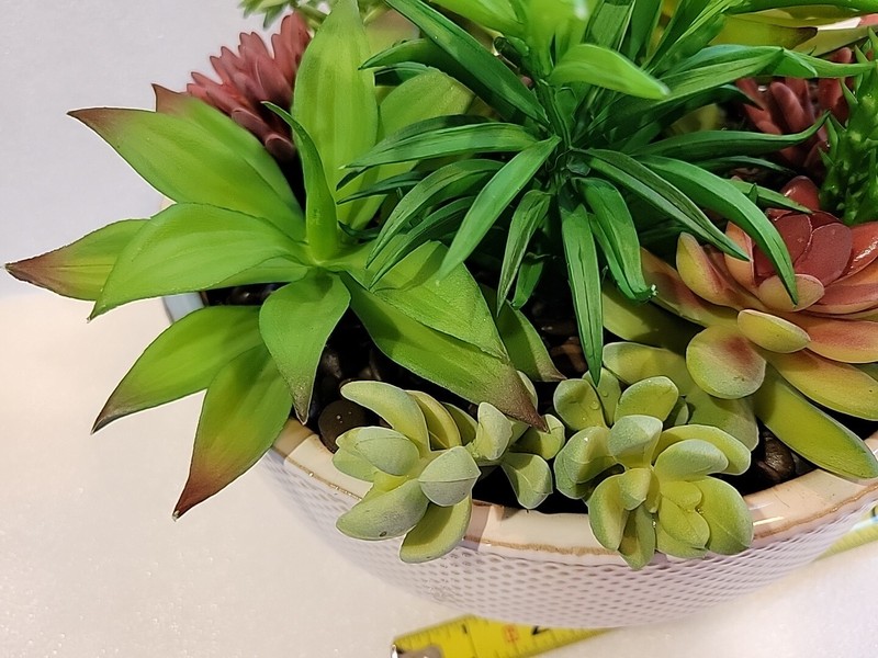 Large Assorted Artificial Multicolor Succulents in Ceramic Planter Unbranded gallery