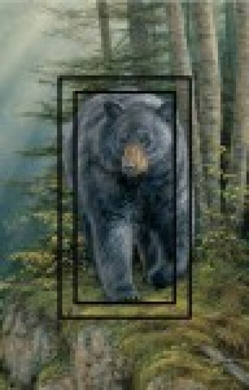 Black Bear 1 SwitchStix Single Rocker gallery