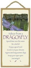 Advice from a DRAGONFLY Be Colorful Enjoy a good reed Just Wing it… Sign 934