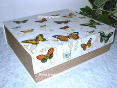 Punch Studio Butterfly Storage Keepsake Box Flip Top 14566 Large 11″ ~ New