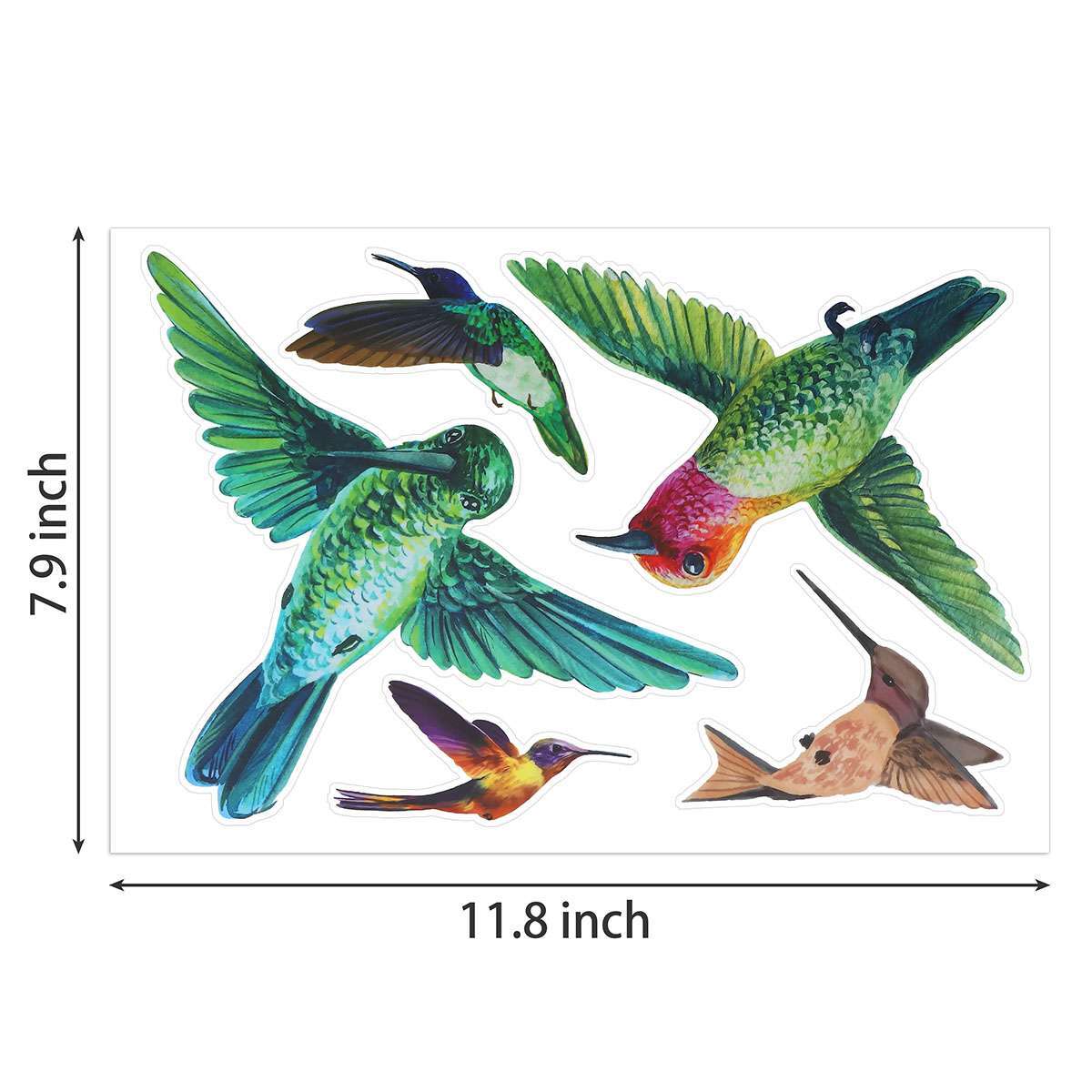 Large Anti Collision Window Decals for Bird Strikes, Stop Birds, 38 Pieces gallery