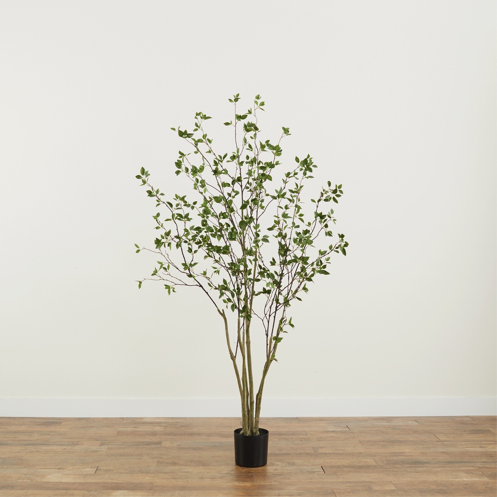 7’ Artificial Citrus Minimalist Tree Home Decor. Retail $329 gallery