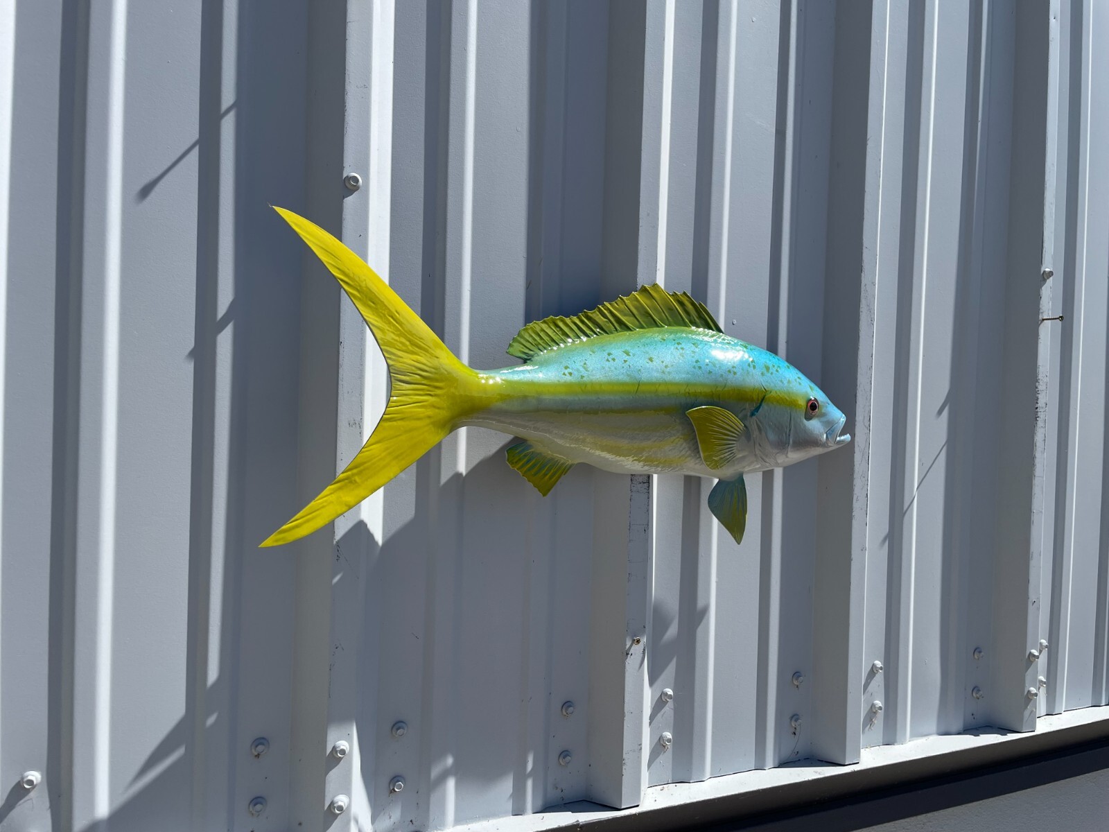 27" Yellowtail Snapper Half Mount Fish Replica - Quick Production gallery