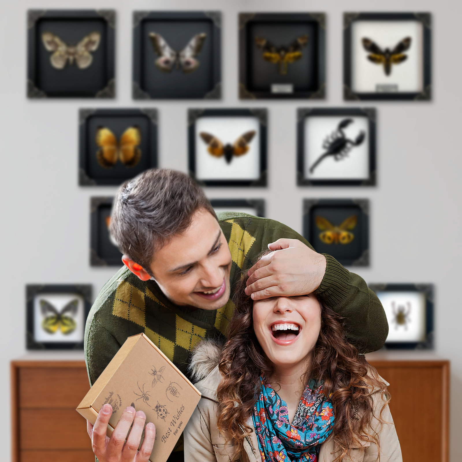 Framed Butterfly Shadow Box Real Insect Specimen Collection Display Decor gallery