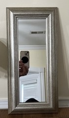 Rectangular Wall Gallery Framed Mirror Silver Canada Made 17×8.25in Modernism
