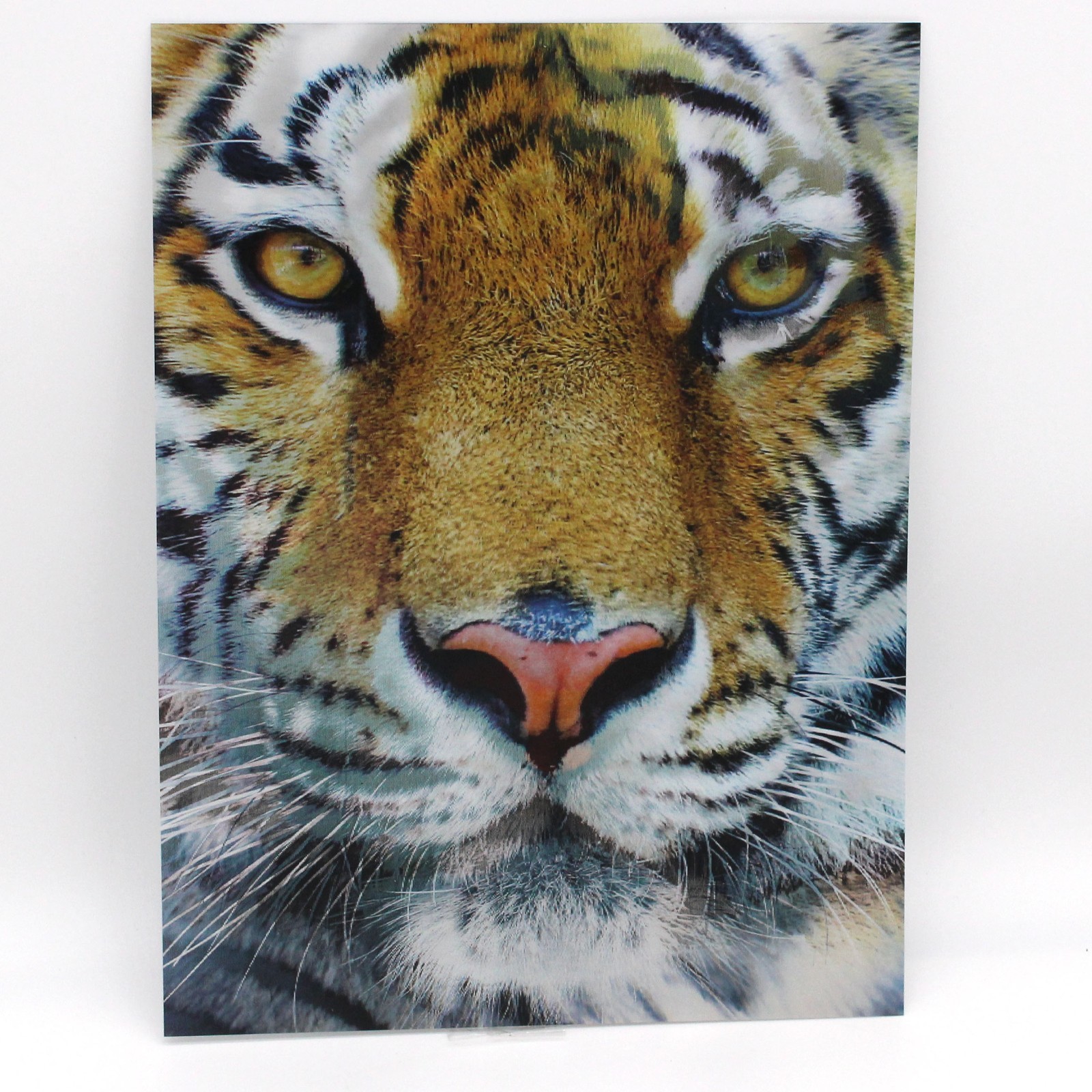 Tigers 3D Lenticular Poster Flicker 2 Images 12 x 16 Inches Print gallery