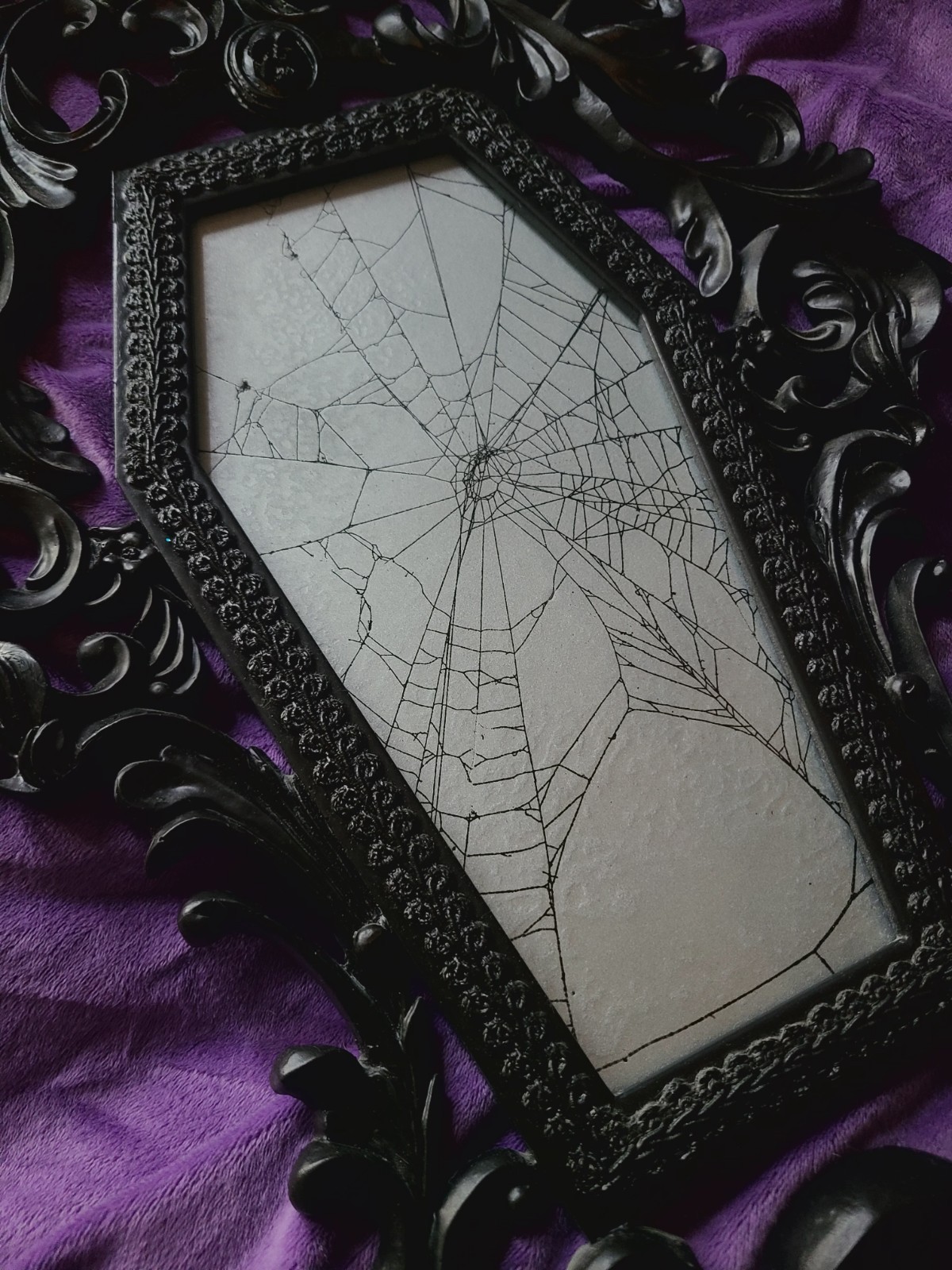 Victorian Gothic Style Coffin Frame with REAL Spider Web gallery