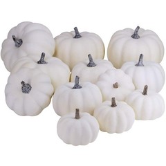 12 PCS Assorted White Artificial Pumpkins for Halloween, Fall, Thanksgiving D…