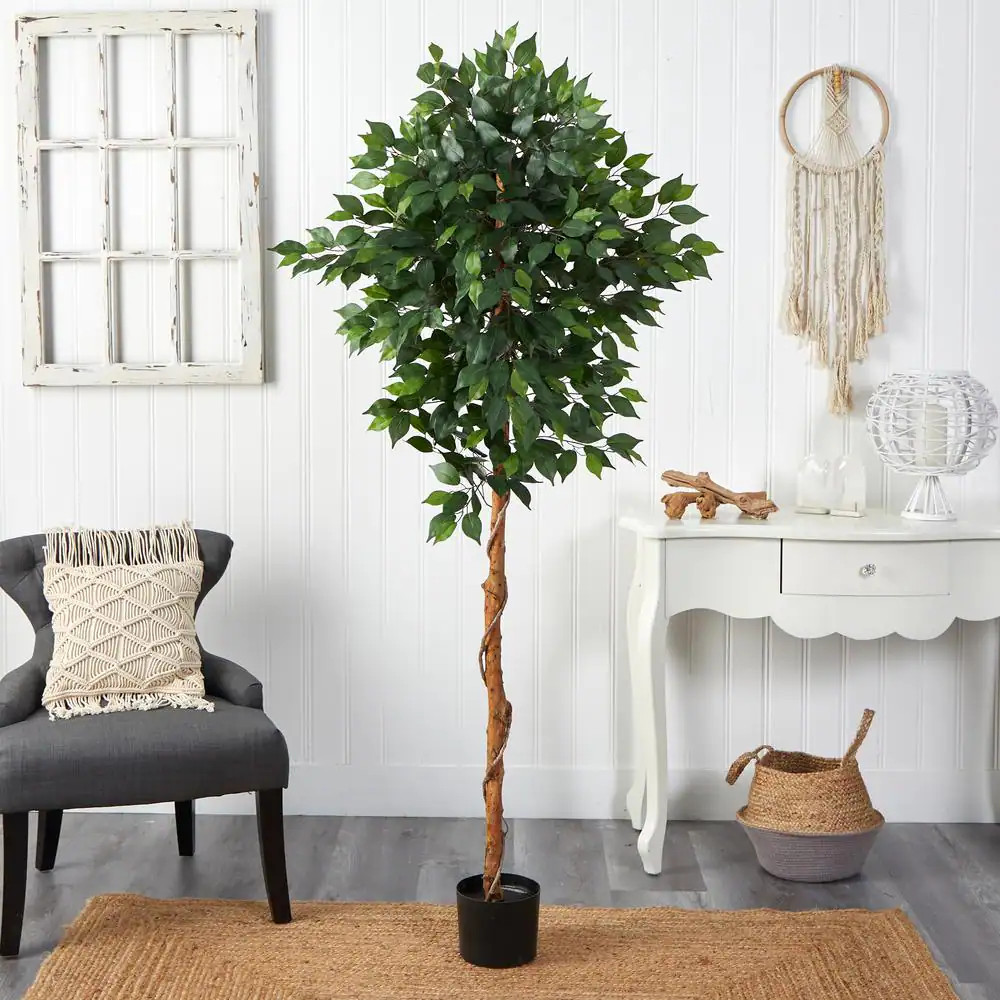 6 Ft. Artificial Ficus Tree gallery
