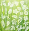 Window Alert Decals for Birds Strikes, 26 Pcs Leaf Window Decals to Prevent Bird gallery
