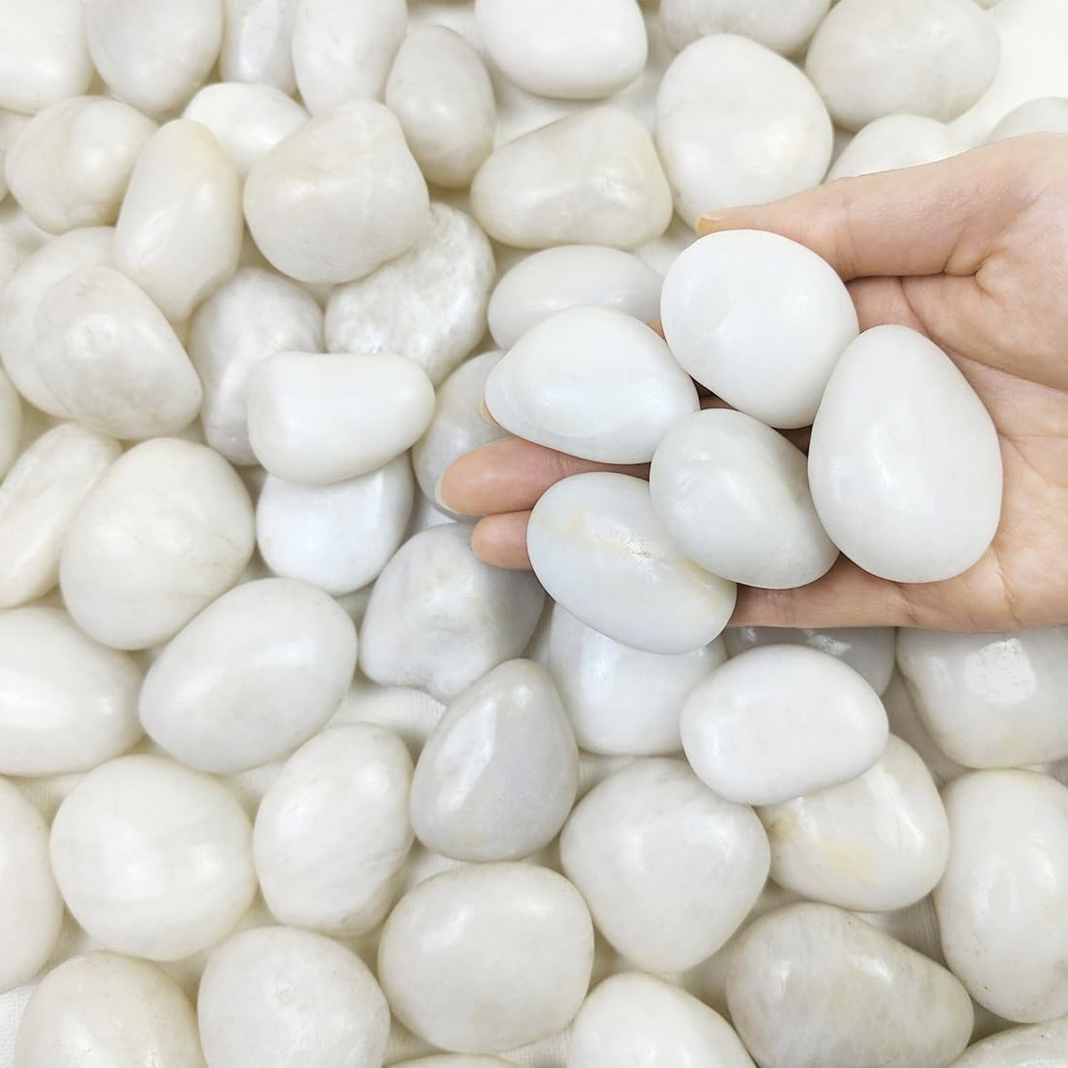 FANTIAN 20 lbs White River Rocks, 1-2 Inch Polished Pebbles for Indoor Plants... gallery