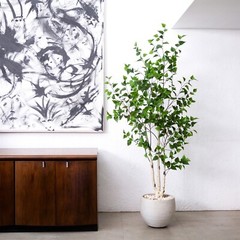 6’ Artificial Birch Tree Home Decor. Retail $199