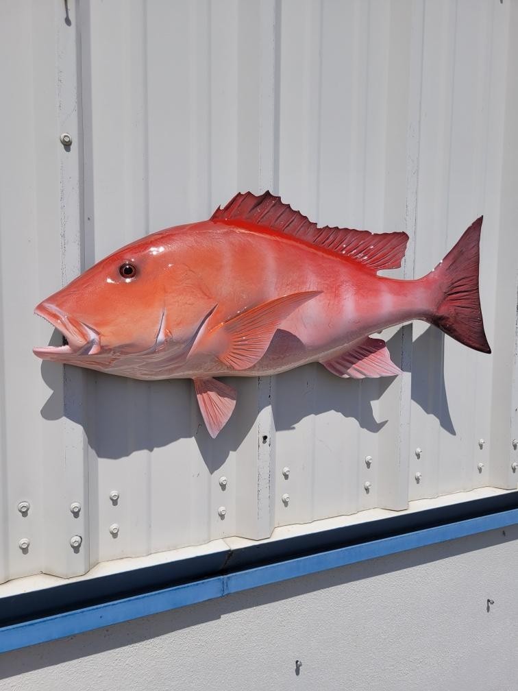 30" Red Snapper Half Mount Fish Replica - Quick Production gallery