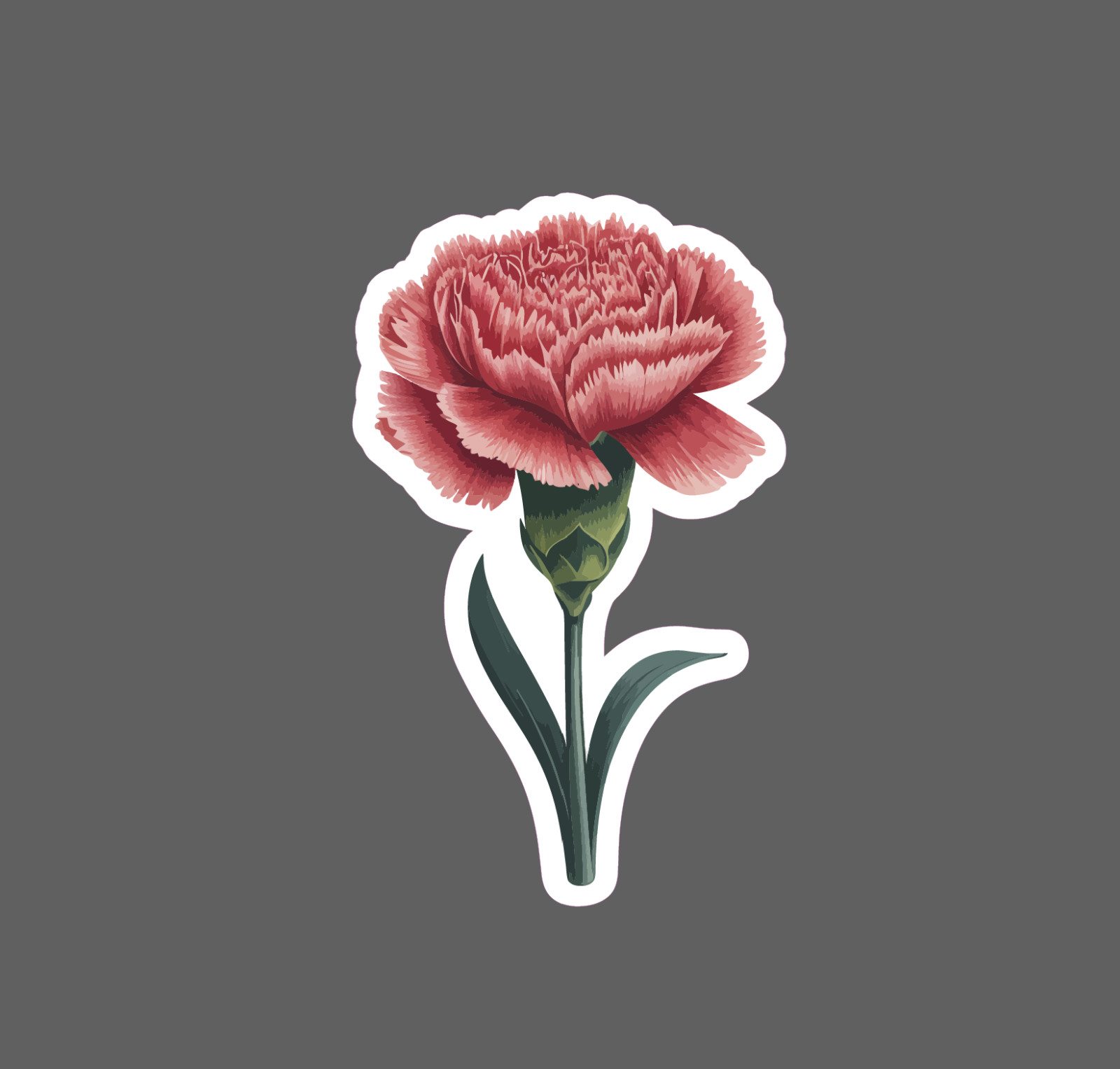 Carnation Sticker Waterproof Decal Flower Floral Nature Outdoor Nature Gift NEW gallery