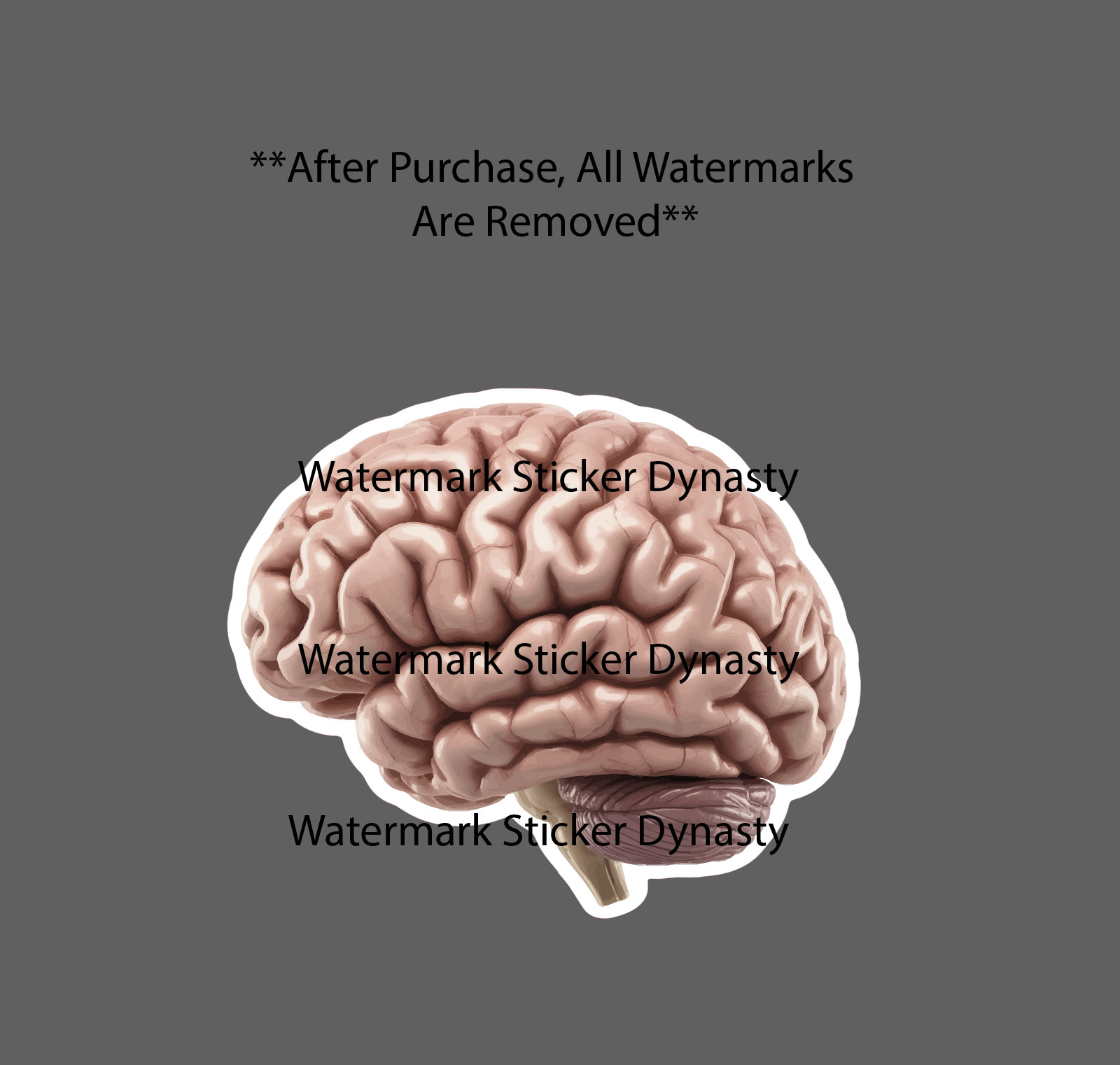 Realistic Brain Sticker Waterproof Decal Anatomy Horror Smart Gift NEW gallery