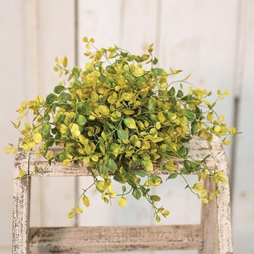 NEW Primitive BOG PIMPERNEL HALF SPHERE Green Old Gold Olive Summer 12" W gallery