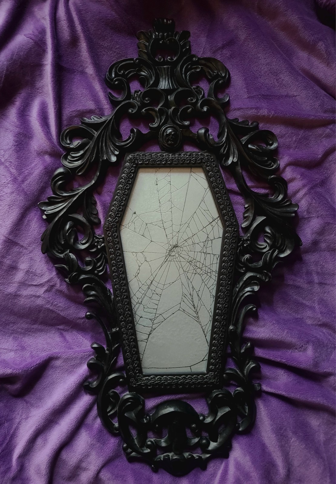 Victorian Gothic Style Coffin Frame with REAL Spider Web gallery