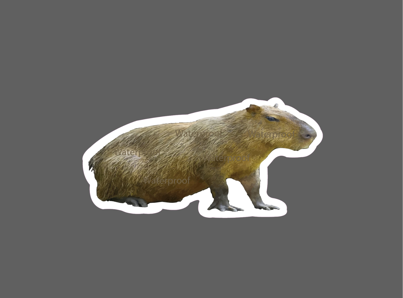 Capybara Sticker Animals Waterproof NEW - Buy Any 4 For $1.75 EACH Storewide! gallery