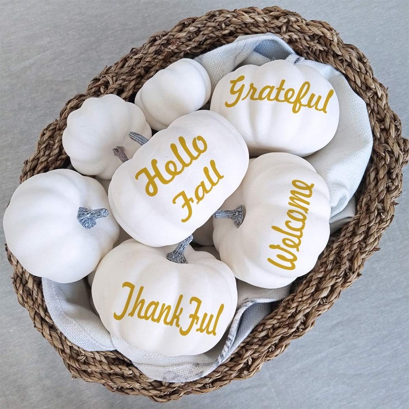 12 PCS Assorted White Artificial Pumpkins for Halloween, Fall, Thanksgiving D... gallery