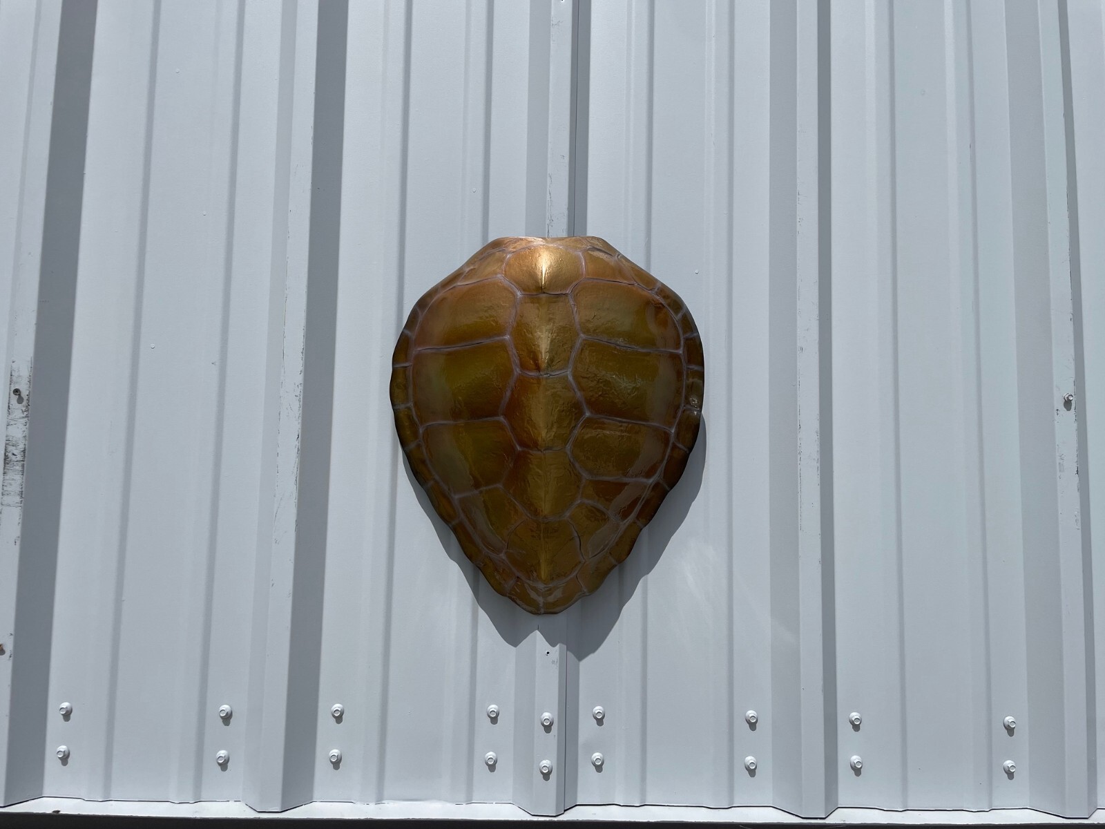 17" Green Turtle Shell Half Mount Replica - Quick Production gallery