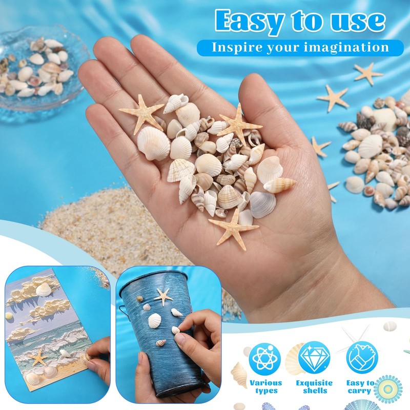 1200 Pcs Tiny Sea Shells, Seashells for Crafts with Small Multicolored Shells gallery