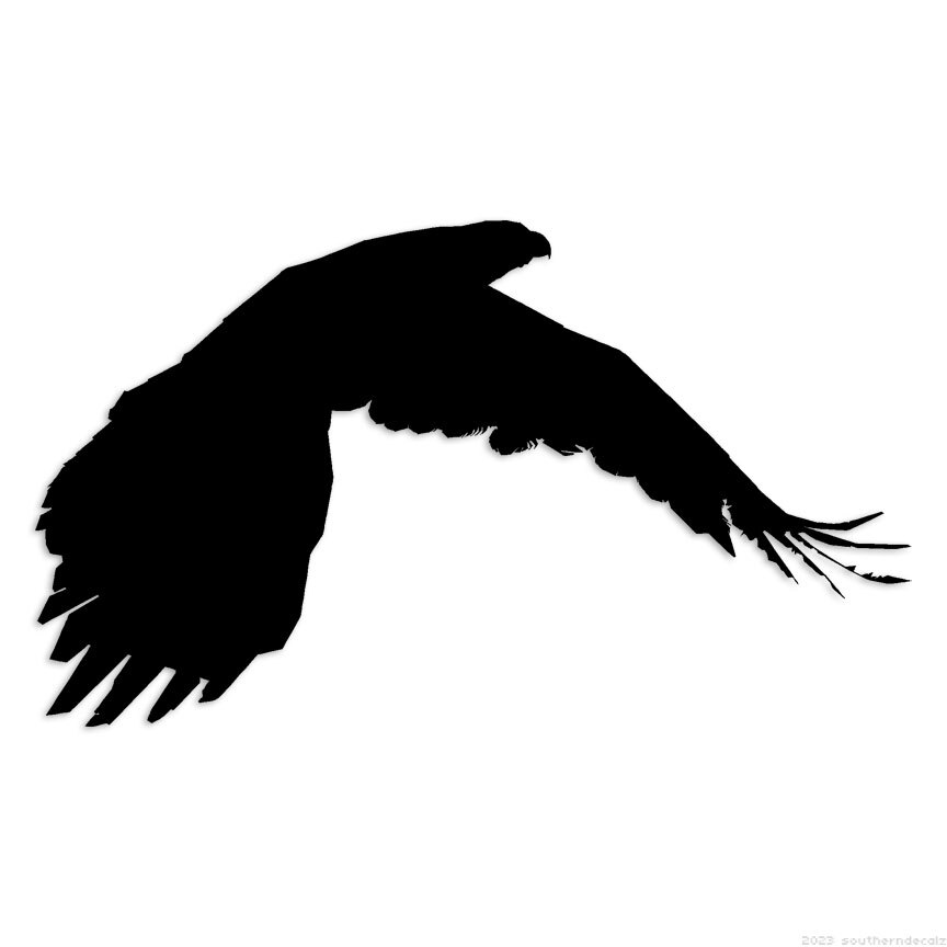 Crow Bird - Decal Sticker - Multiple Colors & Sizes - ebn6087 gallery