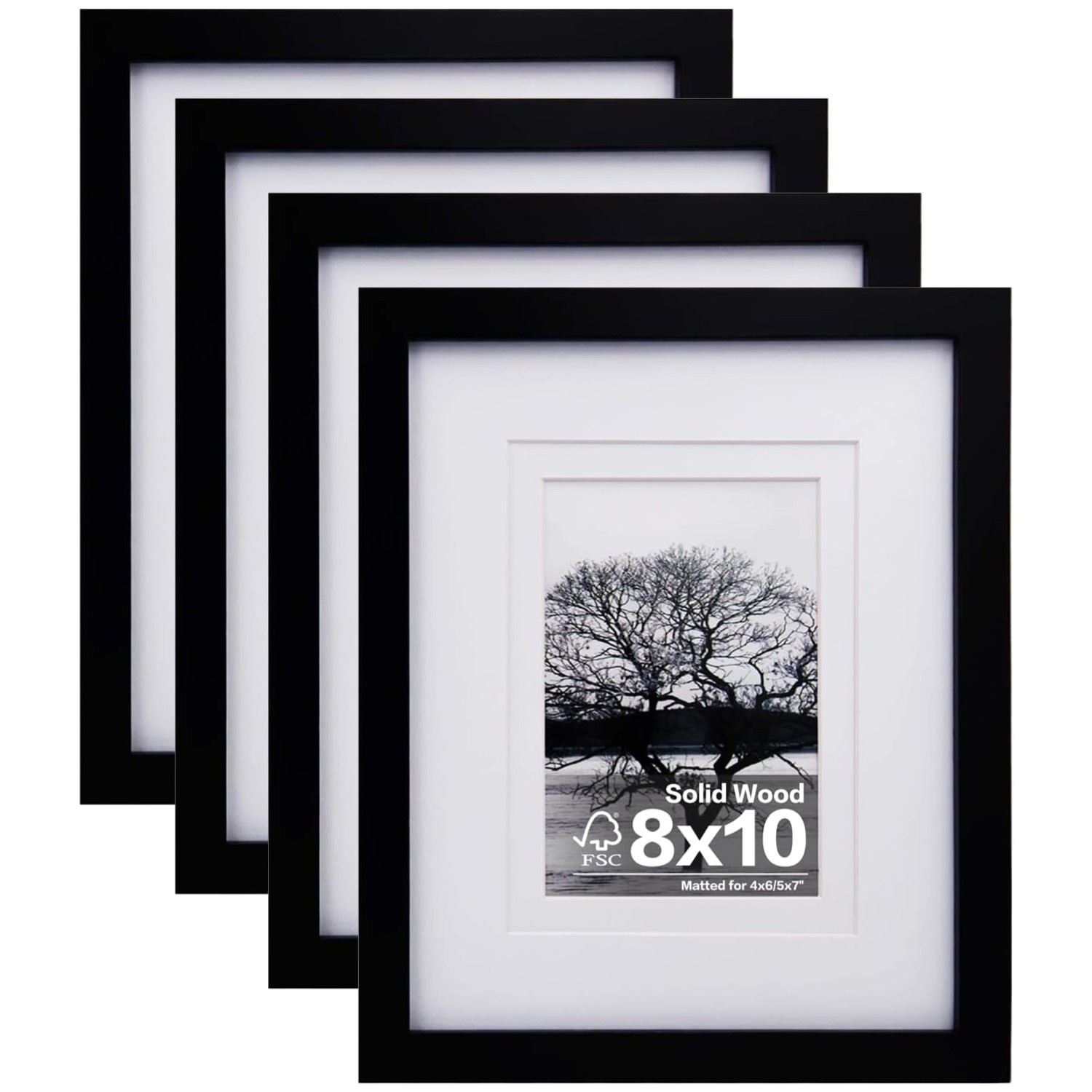 Versatile 8x10 Picture Frames - Tabletop & Wall Mount gallery